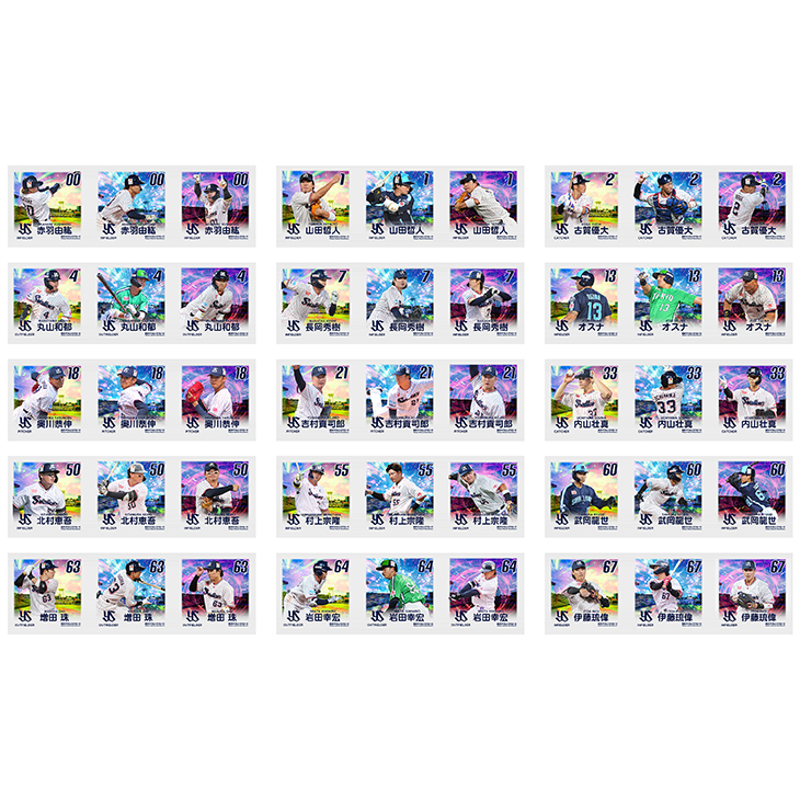 フォトチップス（シークレット商品/全15種）【注文締め切り後約6週間後の発送開始予定】